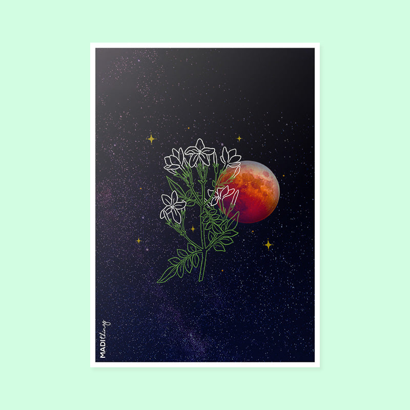 Night Blooming Jasmine Art Print